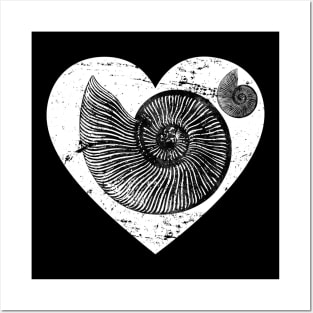 Fossilized Ammonite Heart Love Shell Archaeology Teacher Gift Posters and Art